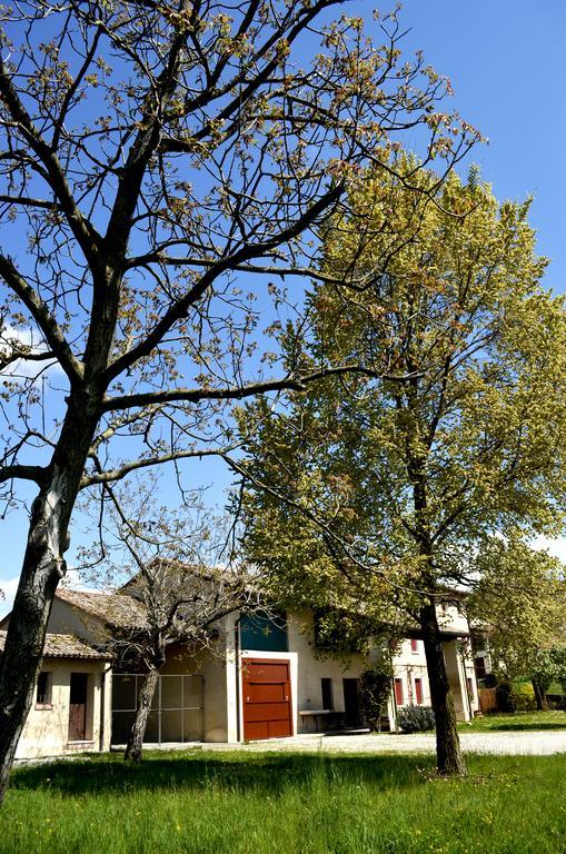 Agriturismo Ca Roer San Zenone Buitenkant foto